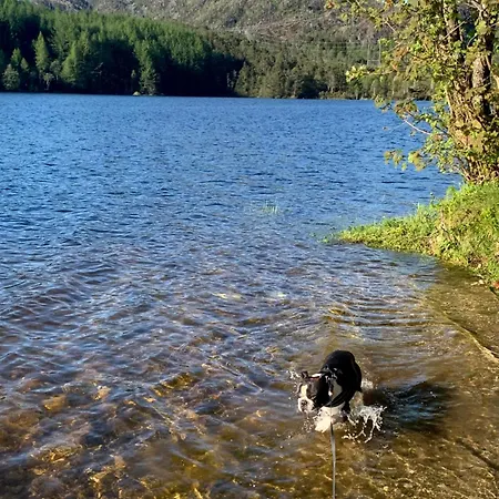 Apartment Newly Renovated Rom Fana Bergen