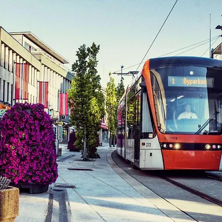 Newly Renovated Rom Fana ברגן