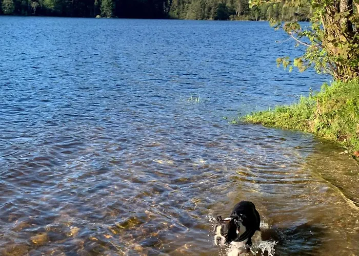 Apartman Newly Renovated Rom Fana Bergen