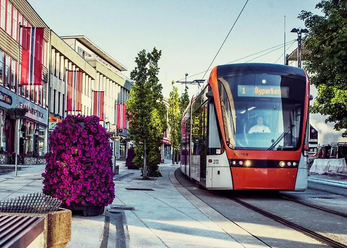 Newly Renovated Rom Fana Bergen